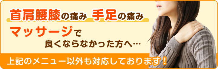 上記のメニュー以外